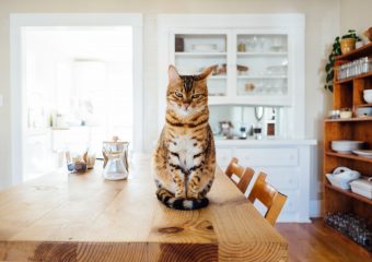 5 dingen in de keuken waar ik rotslecht in ben