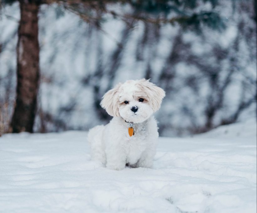 16 afschuwelijke dingen aan de winter