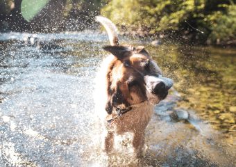 16 verschrikkelijke dingen aan de zomer (sorry zomer I LOVE YOU, maar een mens moet wat op een klaagblog)