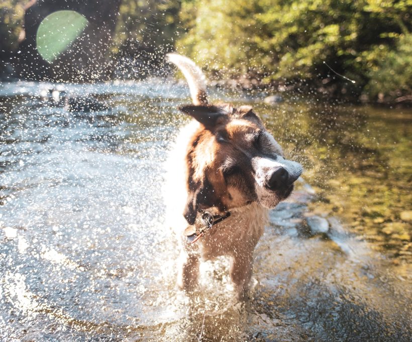 16 verschrikkelijke dingen aan de zomer (sorry zomer I LOVE YOU, maar een mens moet wat op een klaagblog)